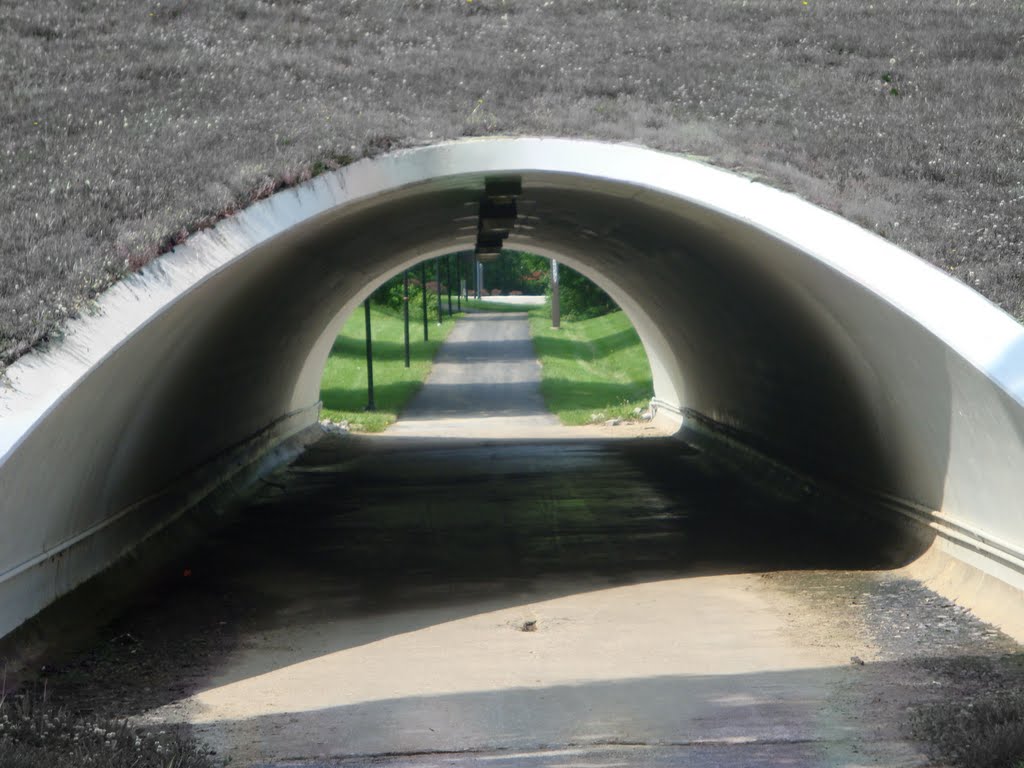Delyte Morris trail