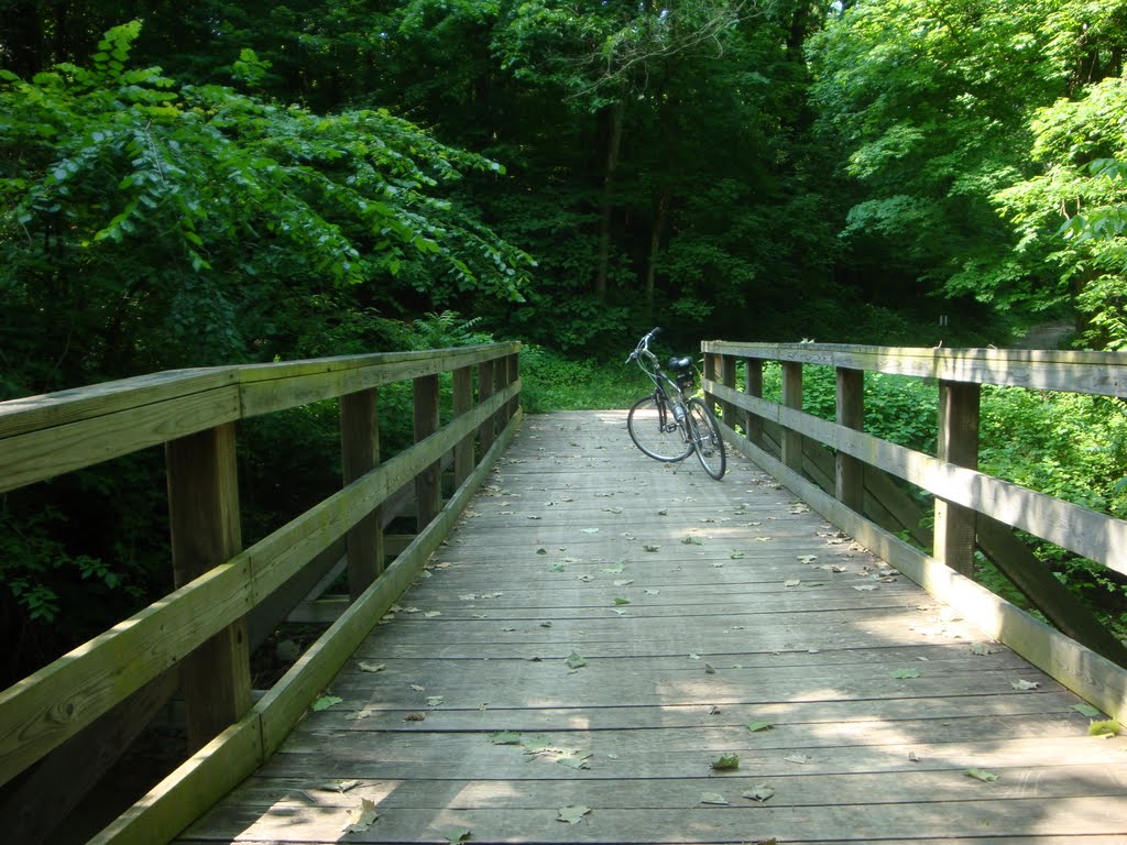 Delyte Morris Trail