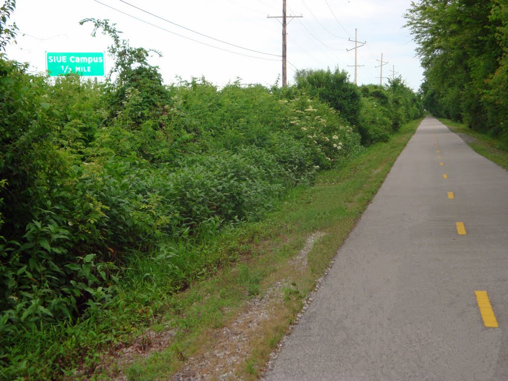 MCT Watershed Trail