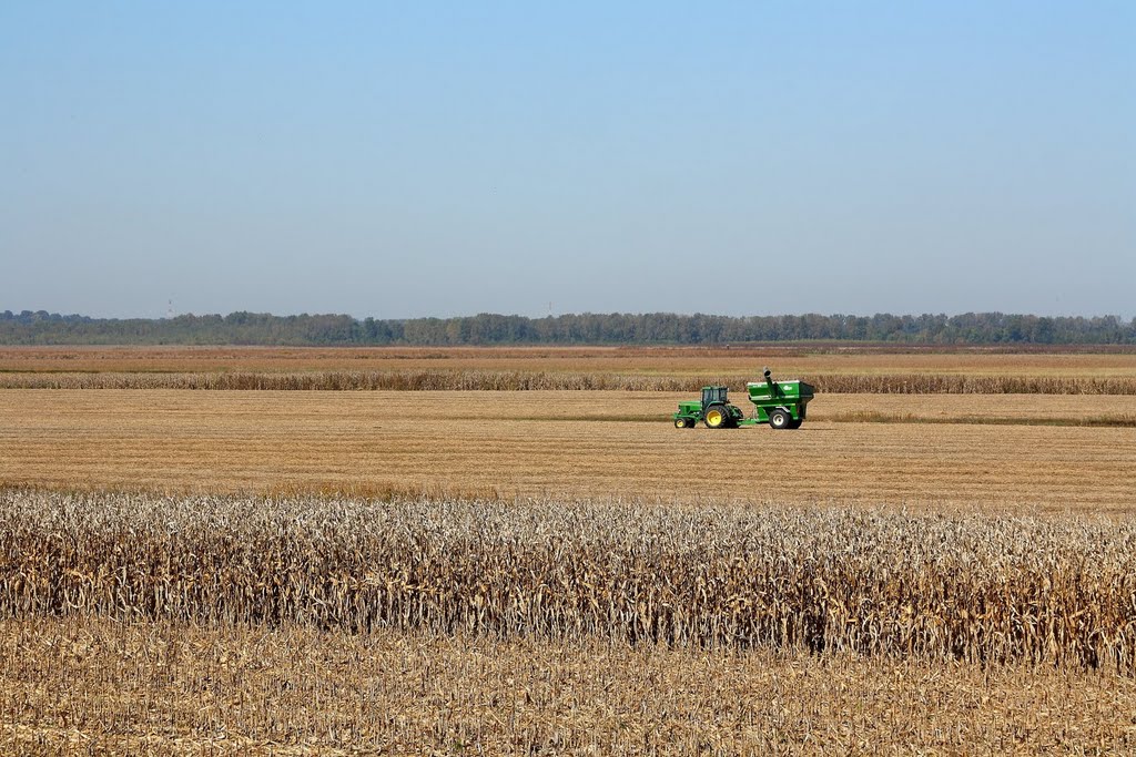 Farming in the Columbia Bottoms Conservation Area