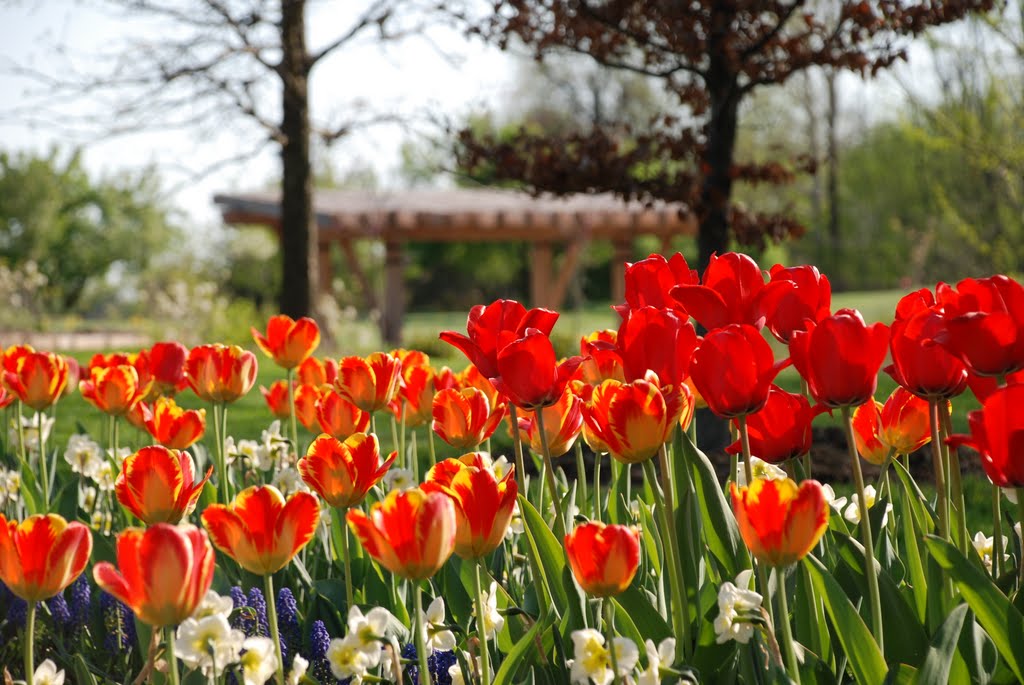 The Gardens at SIUE