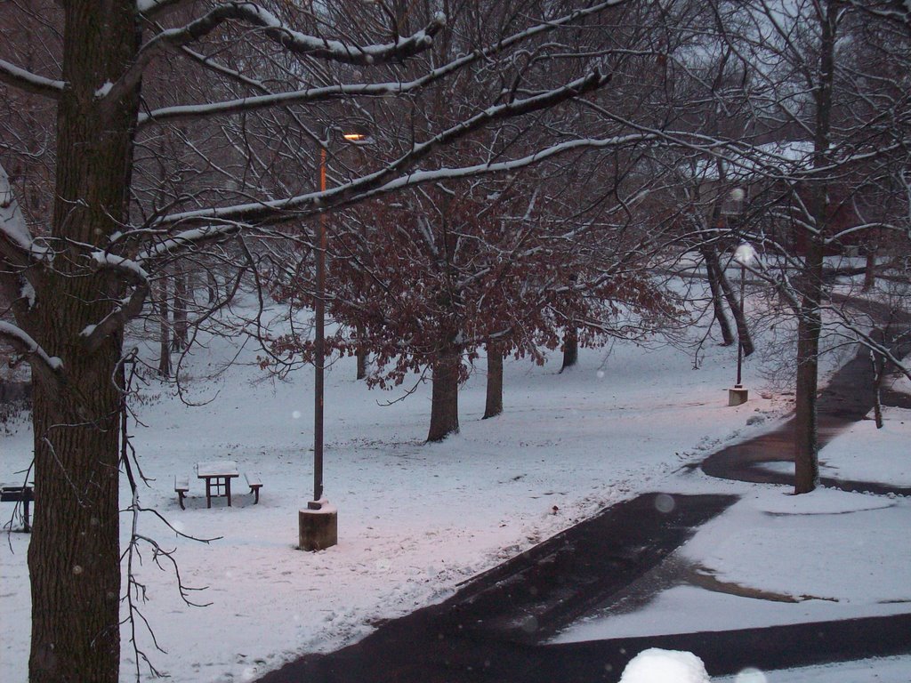 Cougar Village December 2007