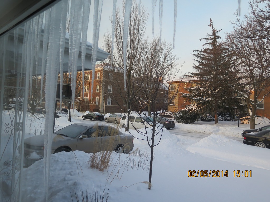 The Artist House-Skokie,IL