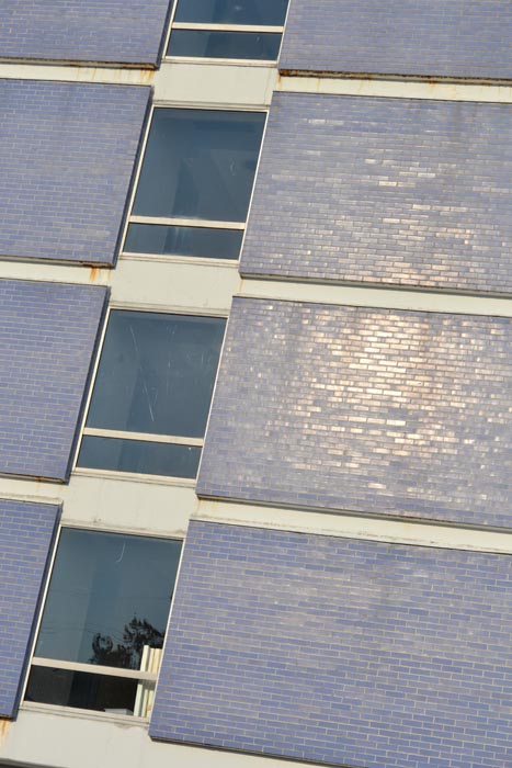Purple Hotel 5