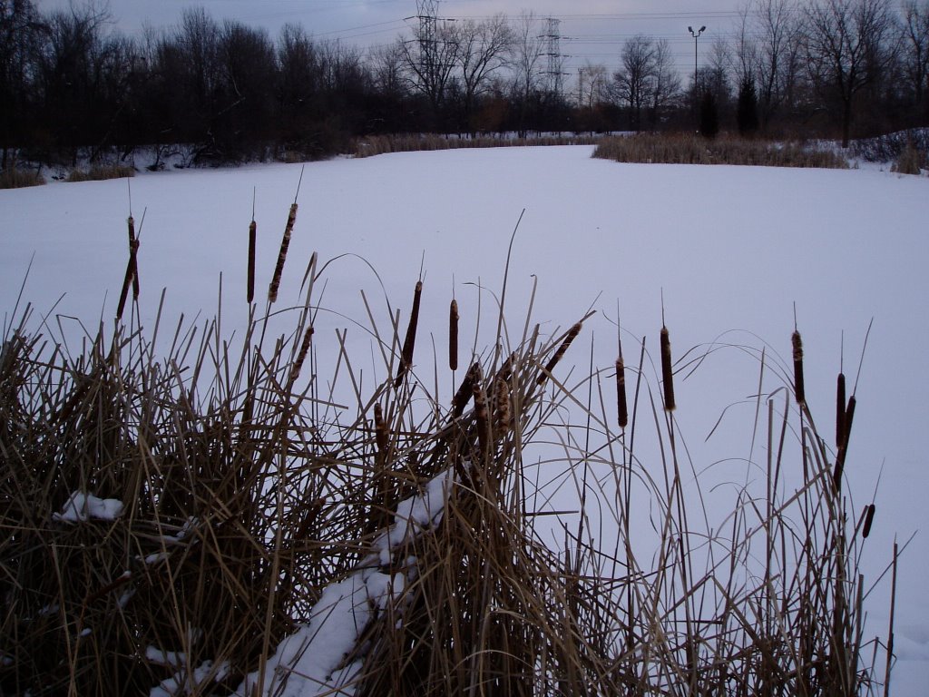 Emily Oaks Park, Skokie, IL