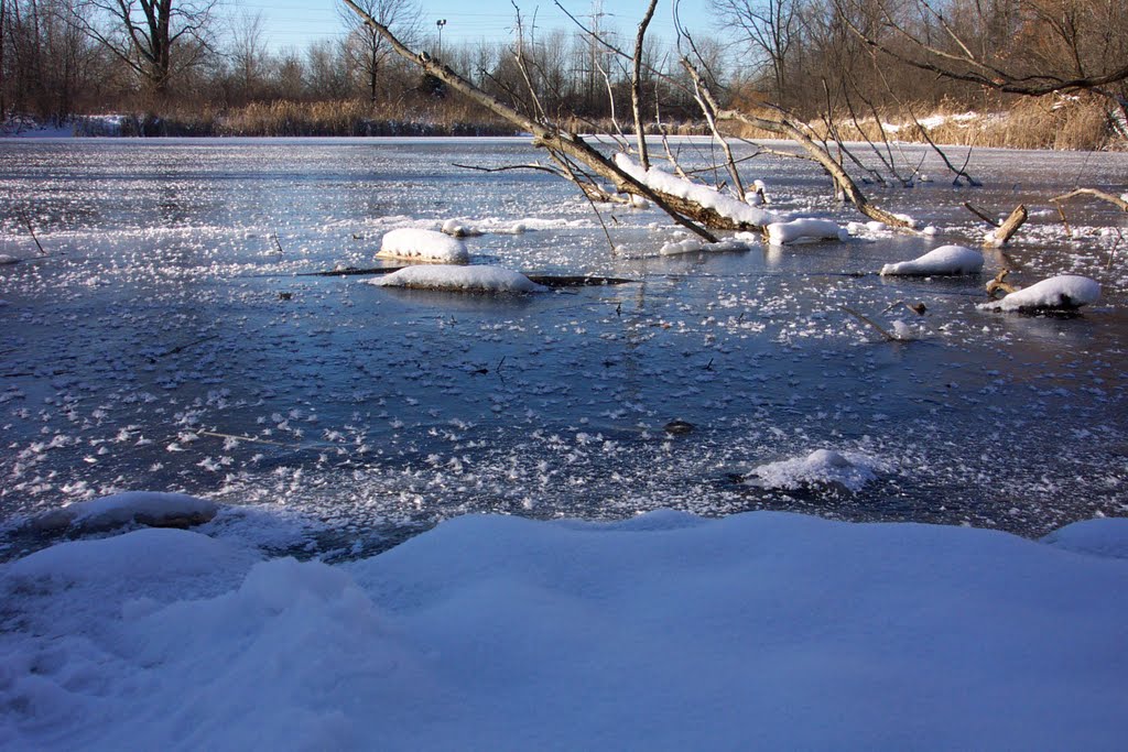 Winter in the park
