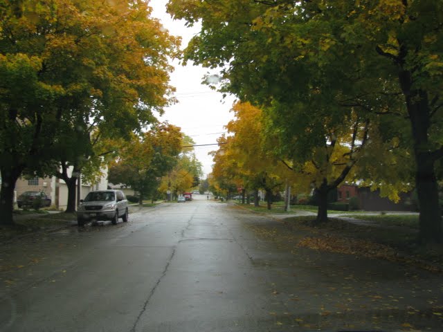 Skokie-IL-Fall(Outono)