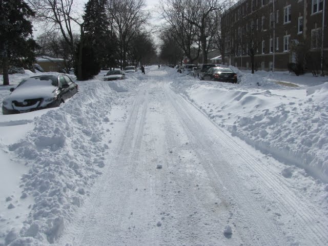 Skokie-IL-Blizzard 2011-This winter was very cold and a lot of snow!