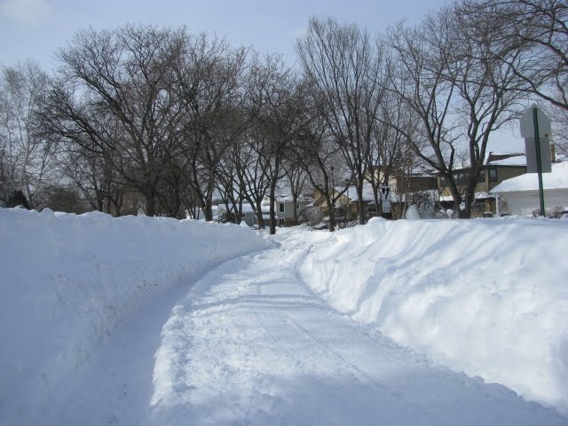 Skokie-IL-Winter 2011-Rua ao lado da minha casa,muito frio,muita neve.