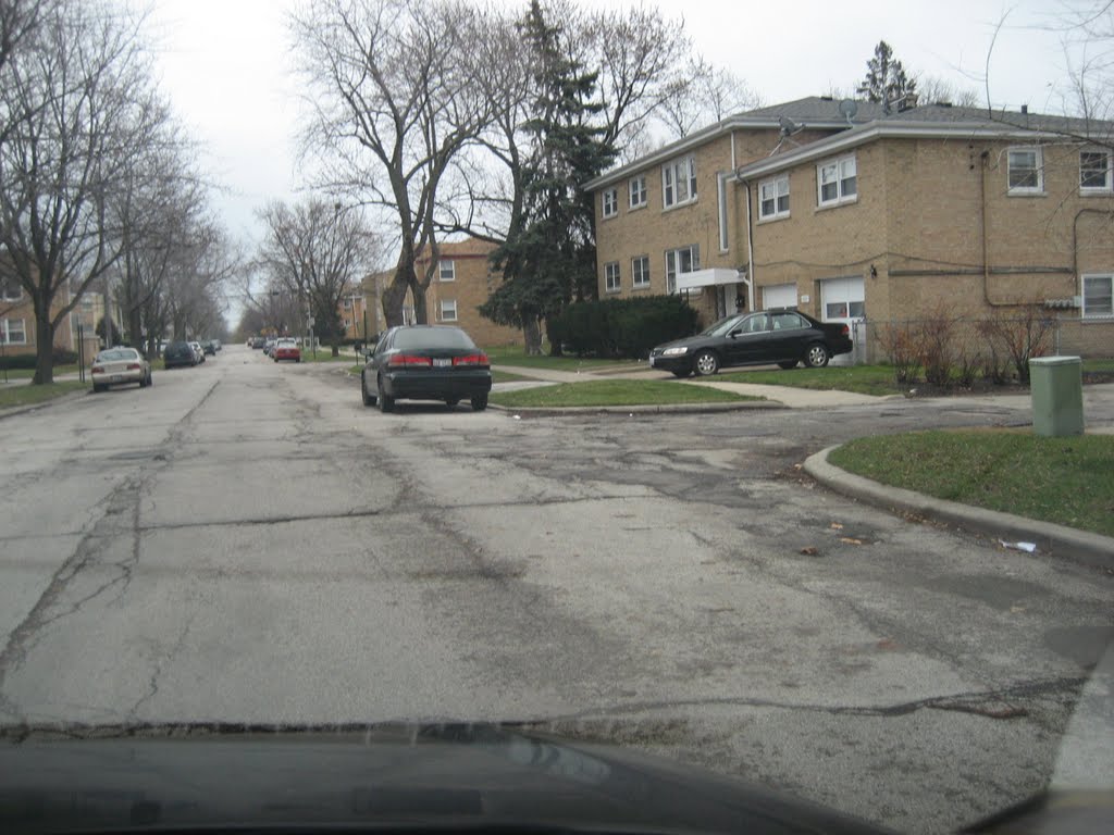 Water Resources Project, Skokie IL.