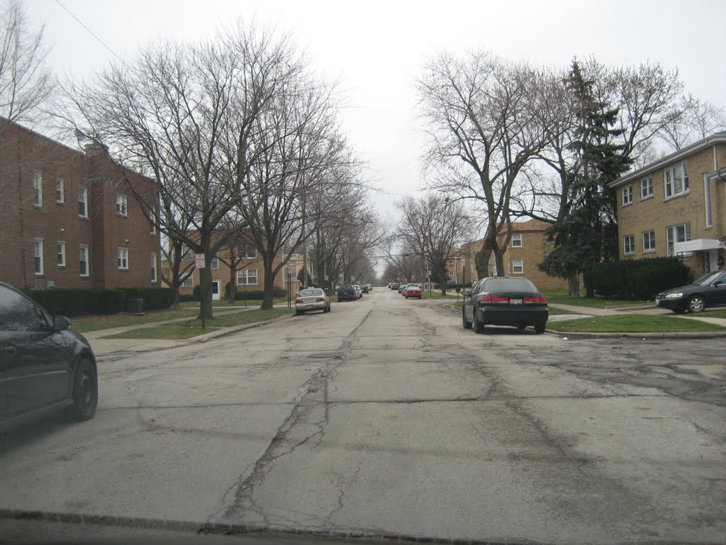 Water Resources Project, Skokie IL.