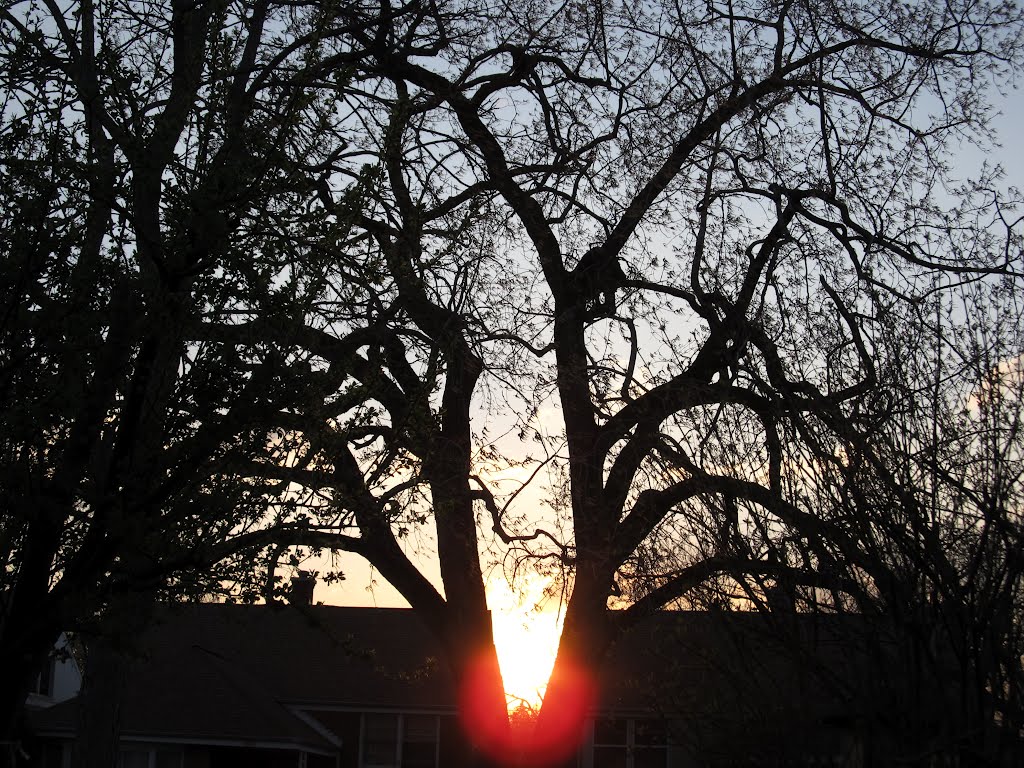 Sundown in Spring on the North Shore  (N. of Chicago)
