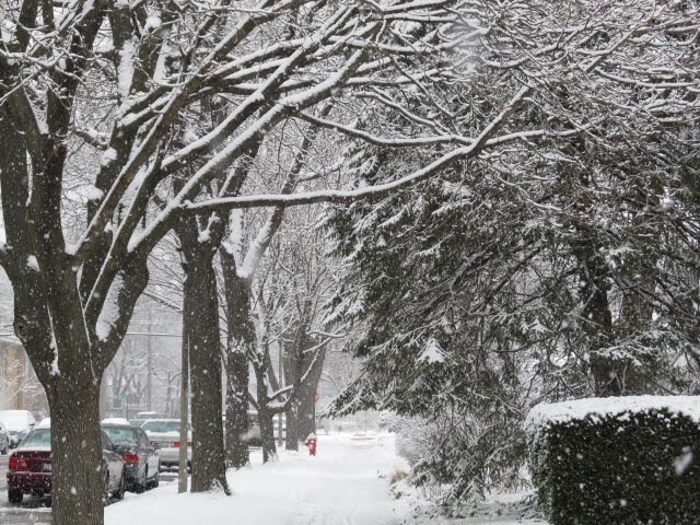 Chicagos North Shore, a quiet street in Skokie and snow still falling