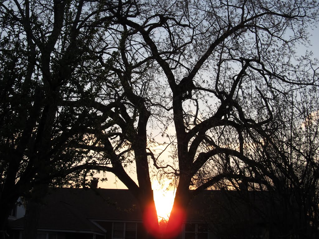 Chicagos Northern Suburbs, Sundown with hope for another beautiful day the next morning...