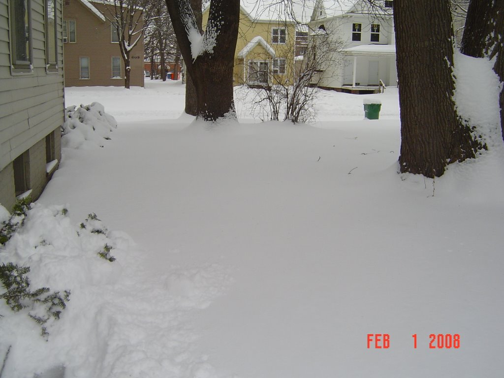Back of the house