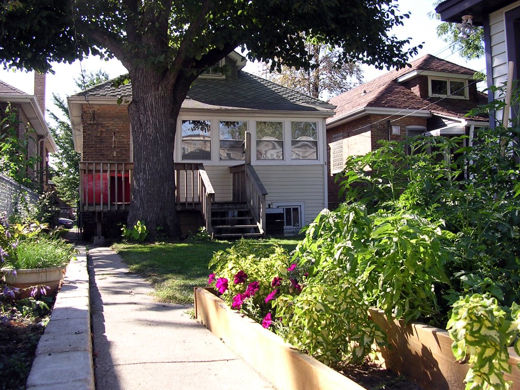 My Old House In Berwyn