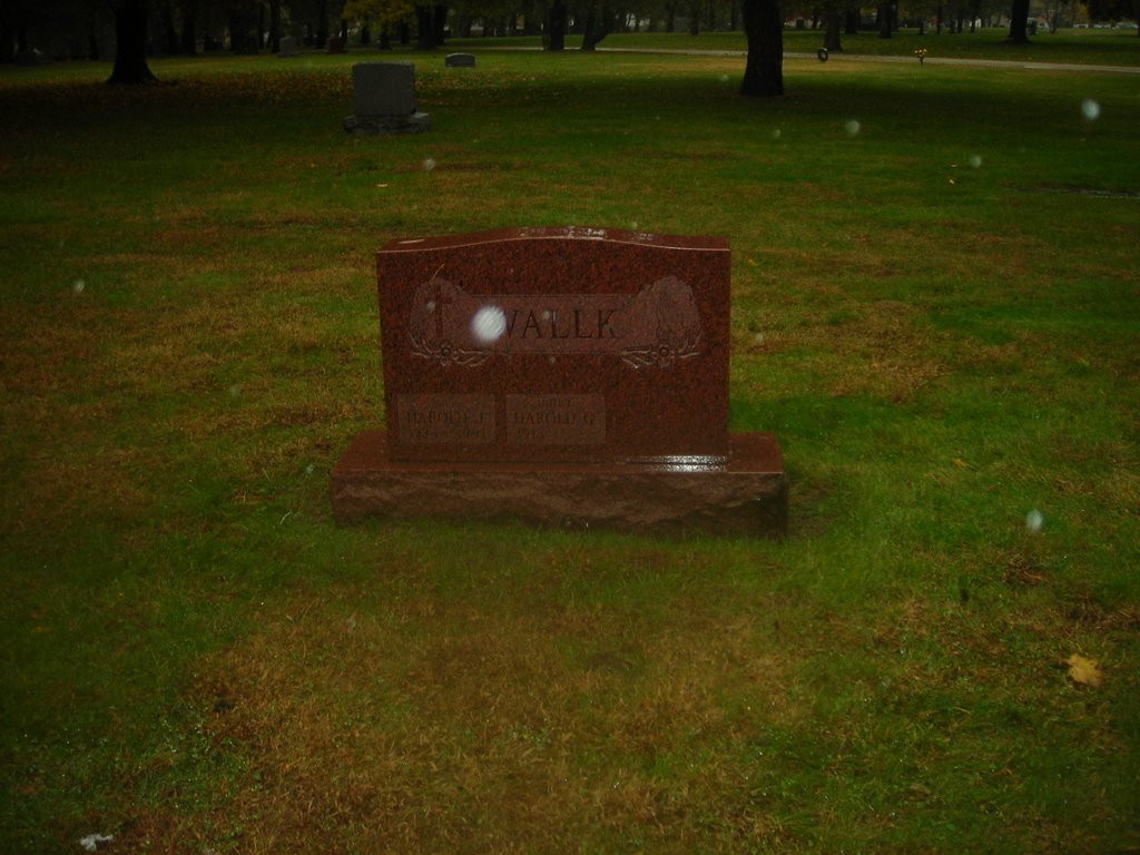Cemetery 6