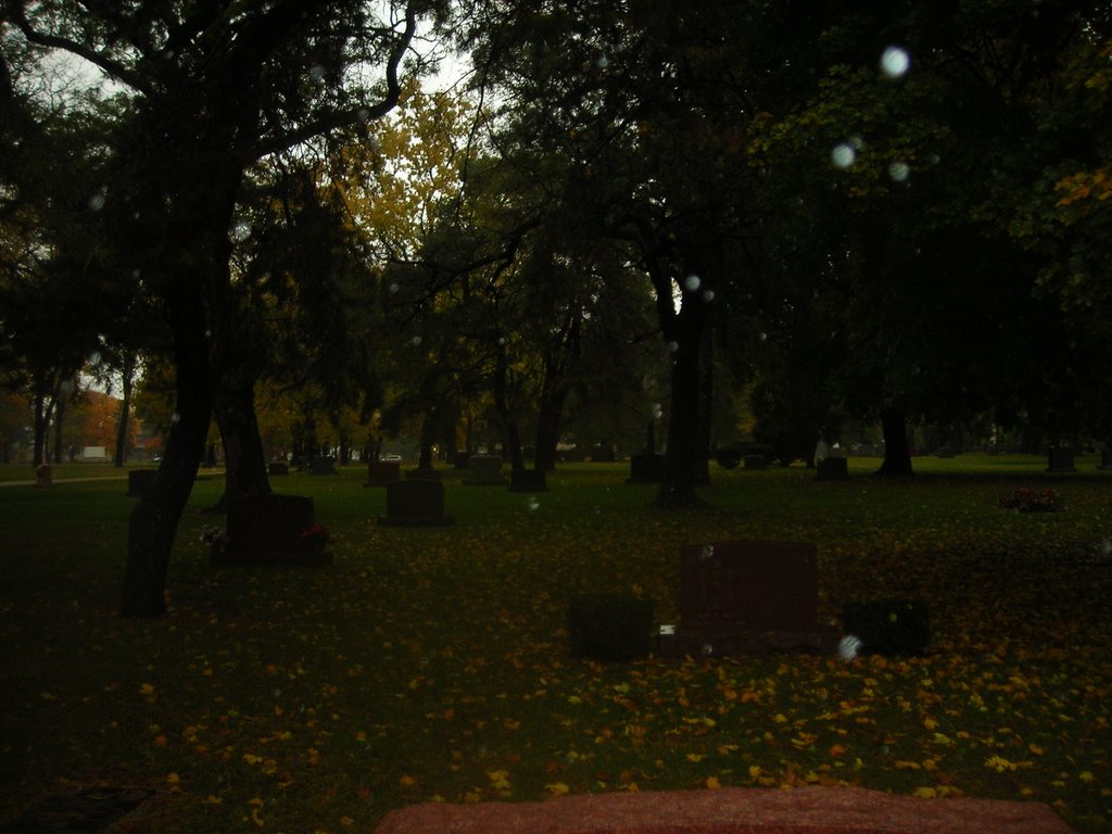 Cemetery 12