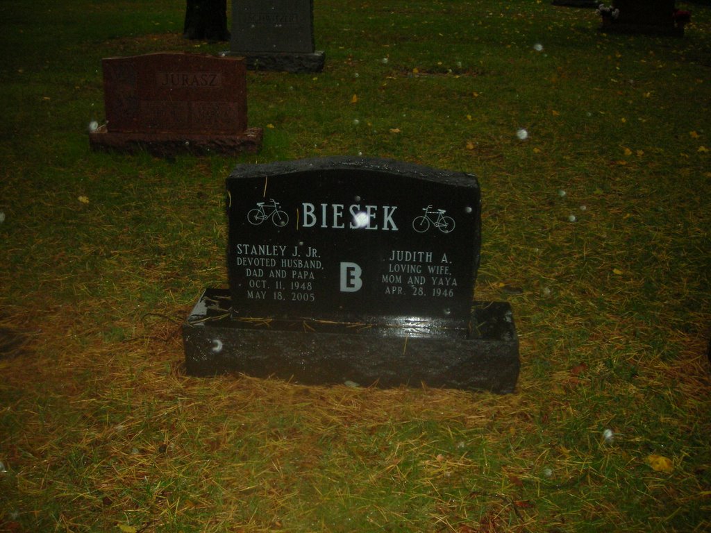 Cemetery 14