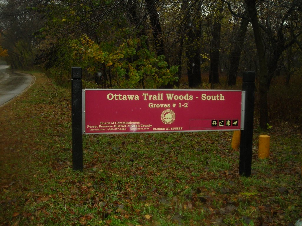 Forest Preserve 1