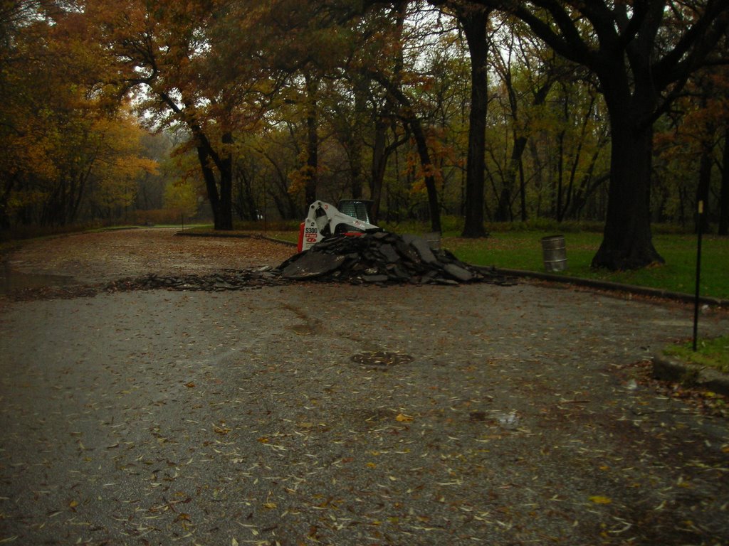 Forest Preserve 6