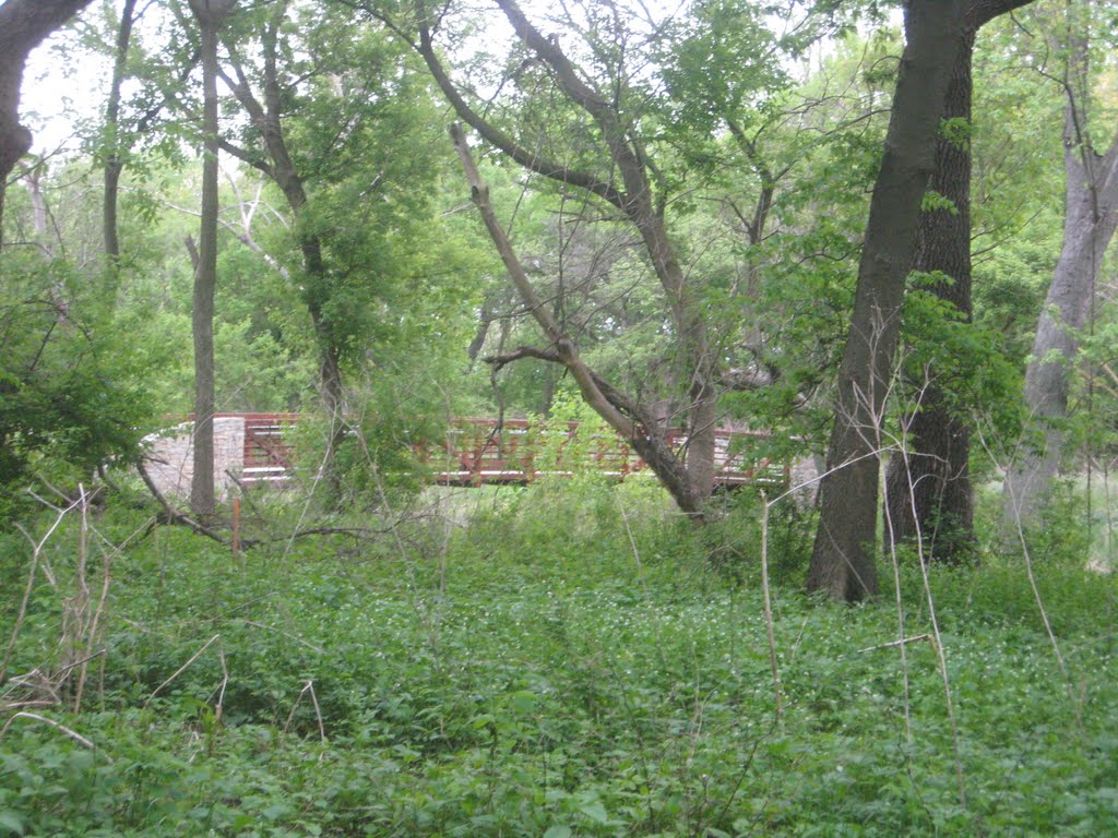 Far View of Bridge