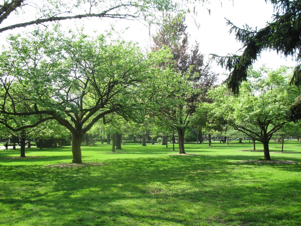 Proksa Park - 18