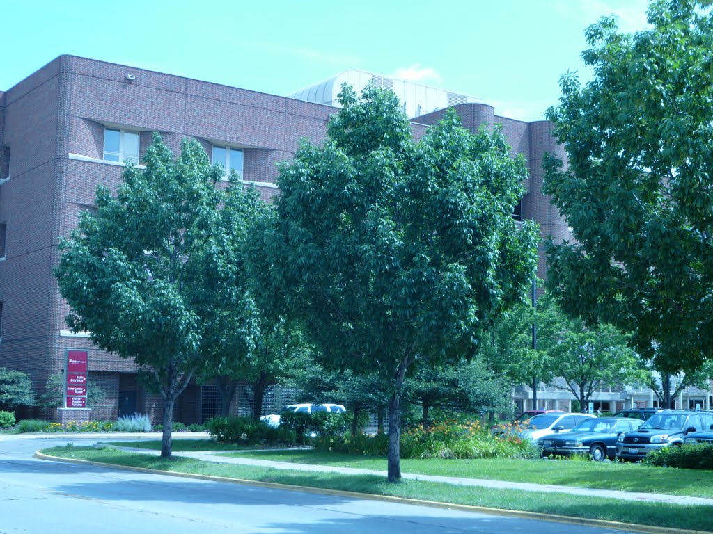 MacNeal Hospital