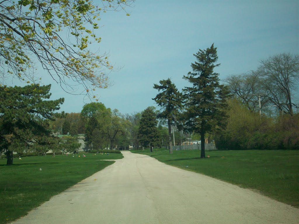 Road going through cemetery