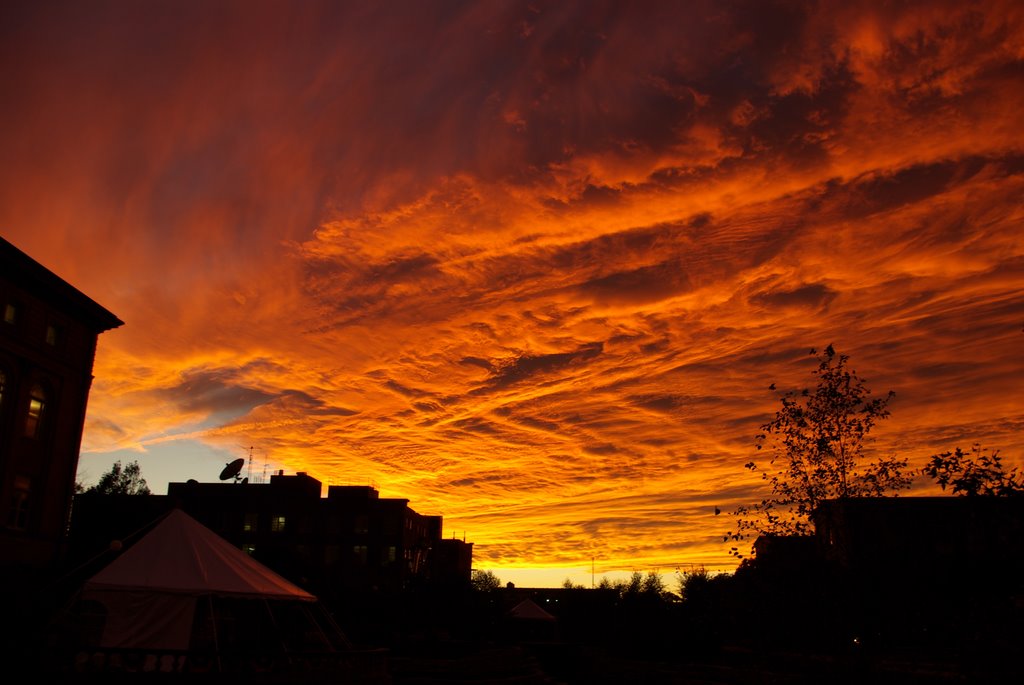 sunset