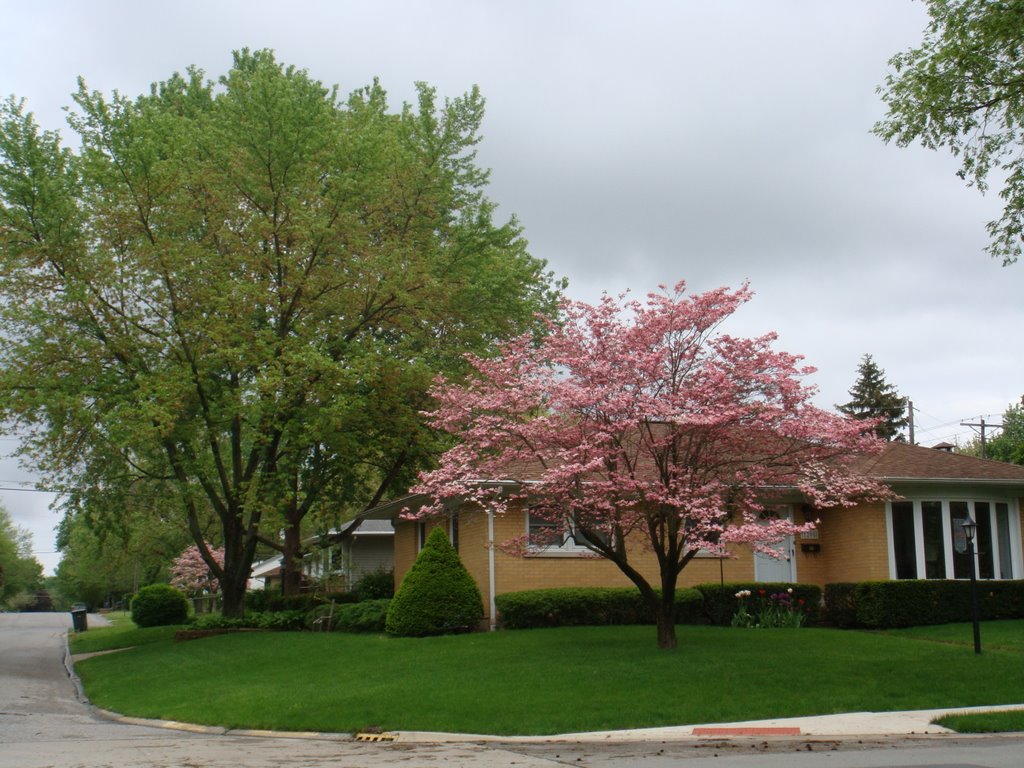 urbana23