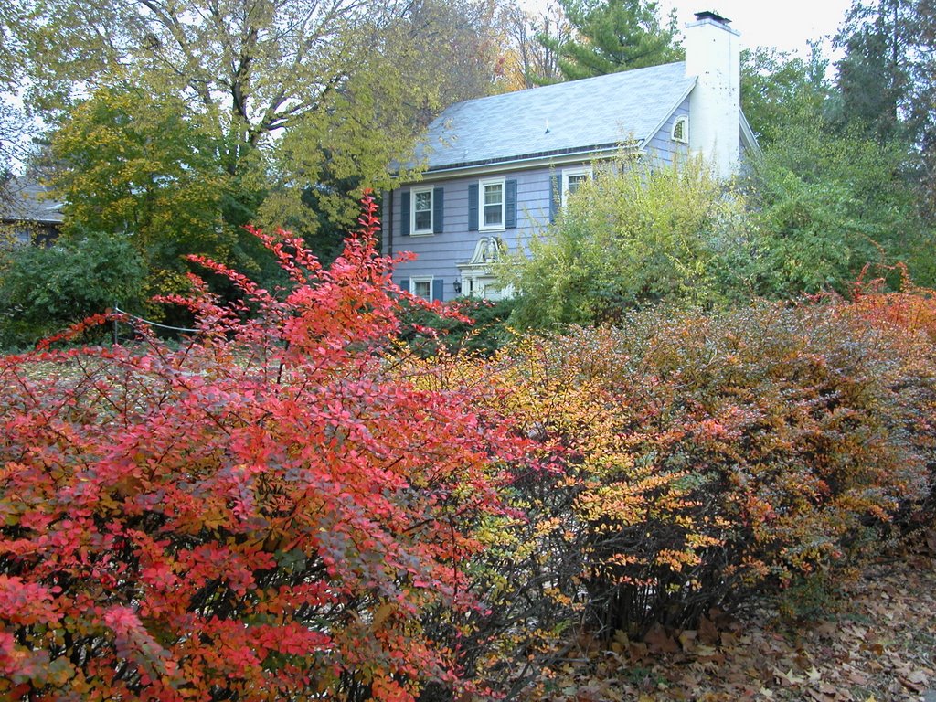 Autumn on Pennsylvania Avenue