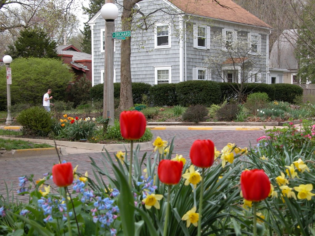 Spring on Indiana Street