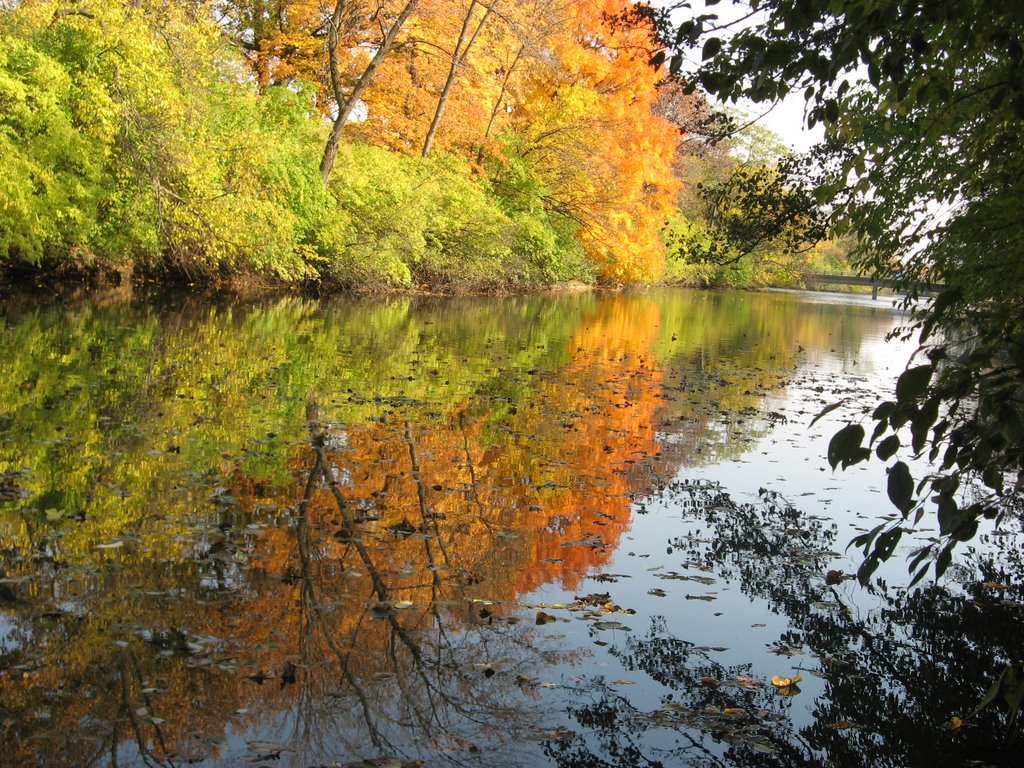 Autumn in Crystal Lake Park