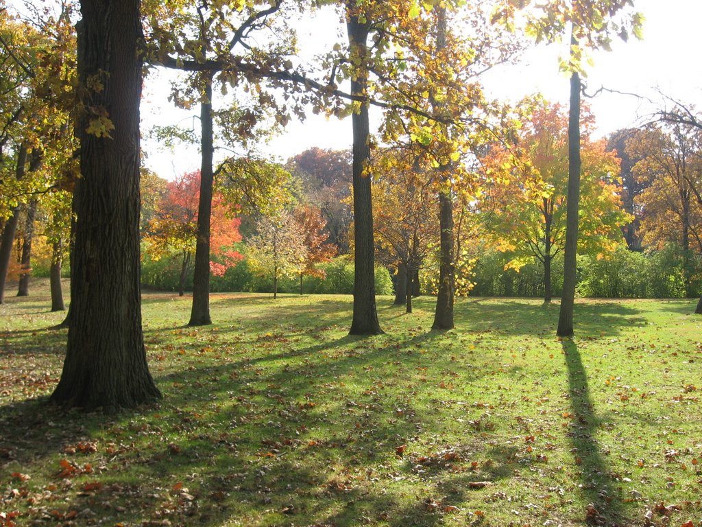 Autumn in Crystal Lake Park - Urbana, Illinois