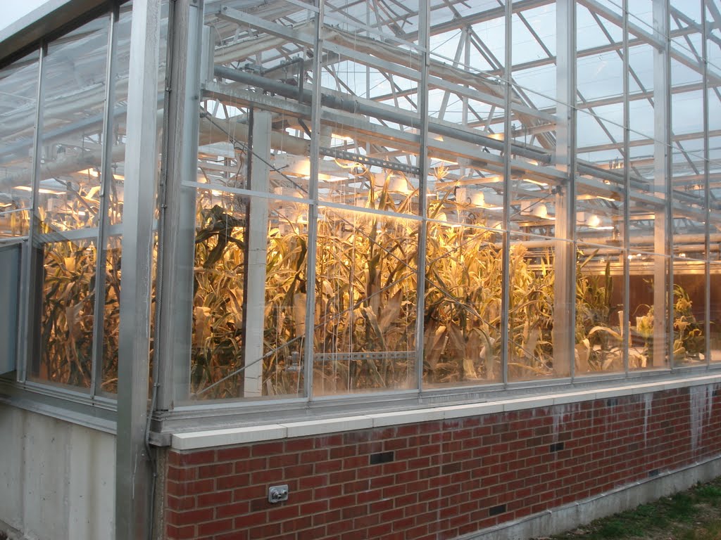 Greenhouse, University of Illinois