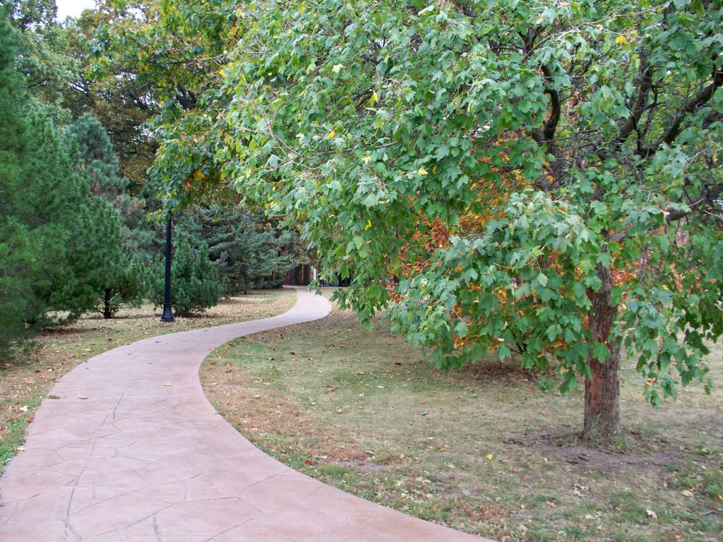 Illini Grove