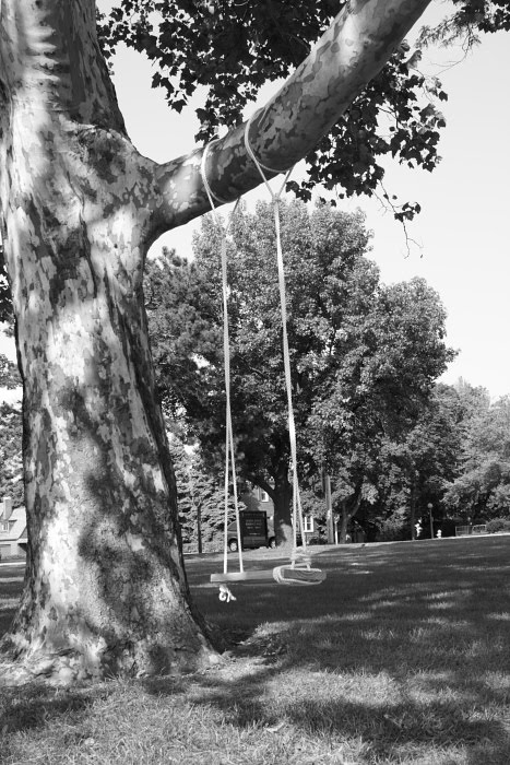 Tree by FAR
