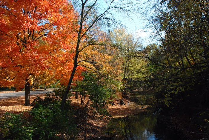 Crystal Lake Park