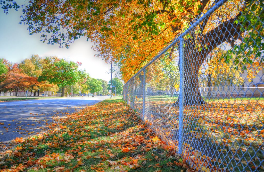Cemetery, IL