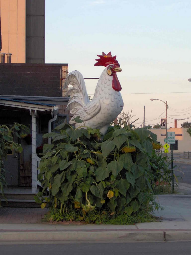 Chicken Statue (North Galena Avenue @ West Douglas Street), GLCT