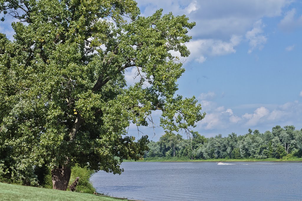 Shore Acres Park