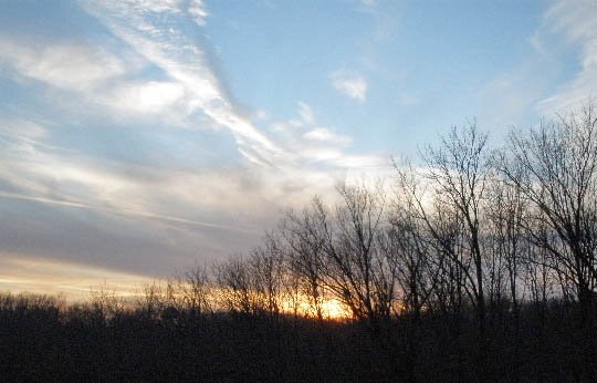 angelwing sunset