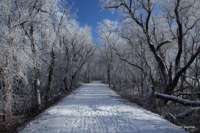 Hiking Hebron Trail in winter
