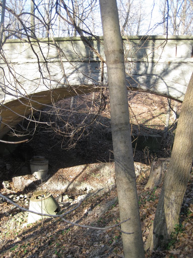 Bridge Over Ravine