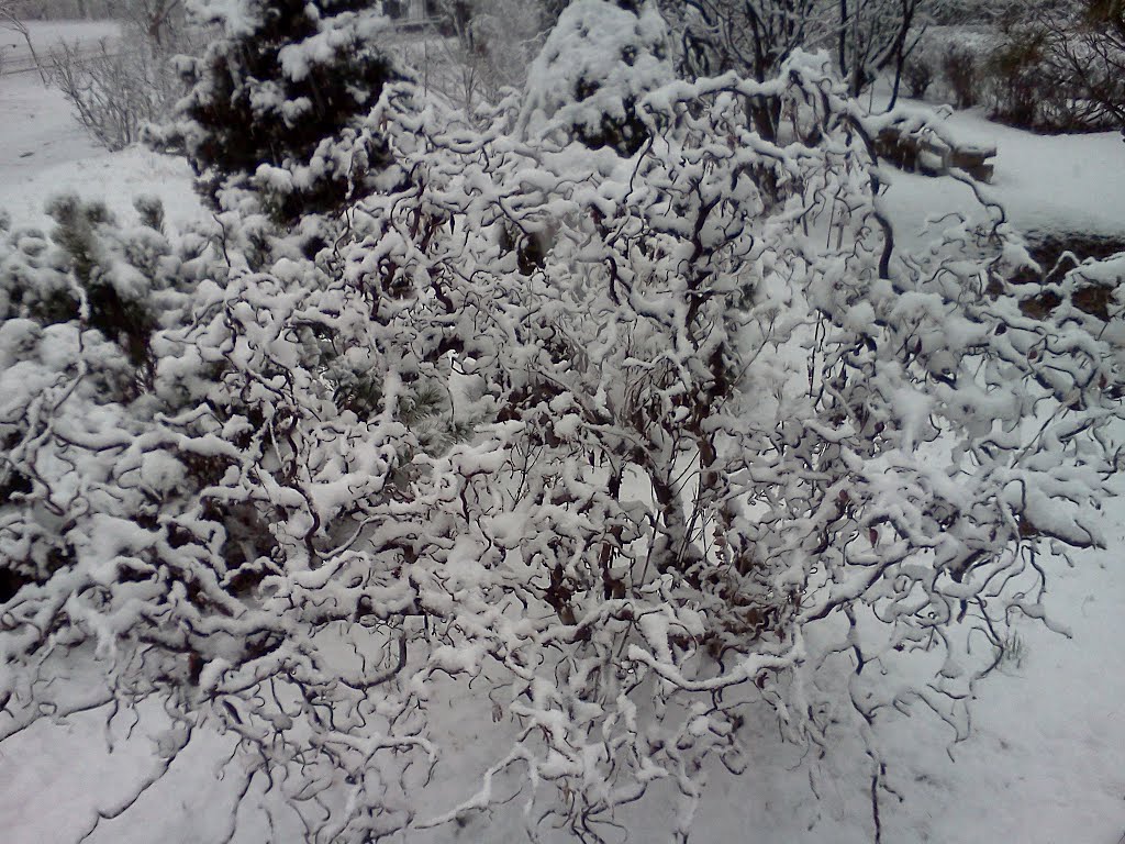 Ravine Dr. Highland Park, IL