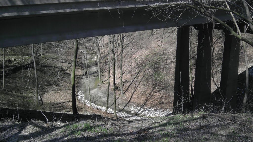 Moraine Park - Under Bridge