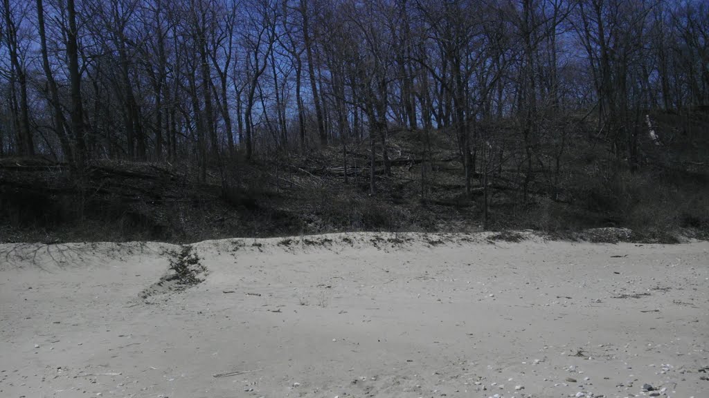 Lake Michigan - Beach