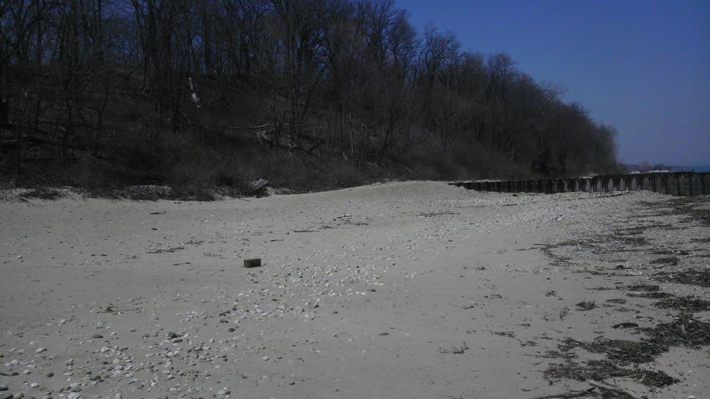 Lake Michigan - Beach