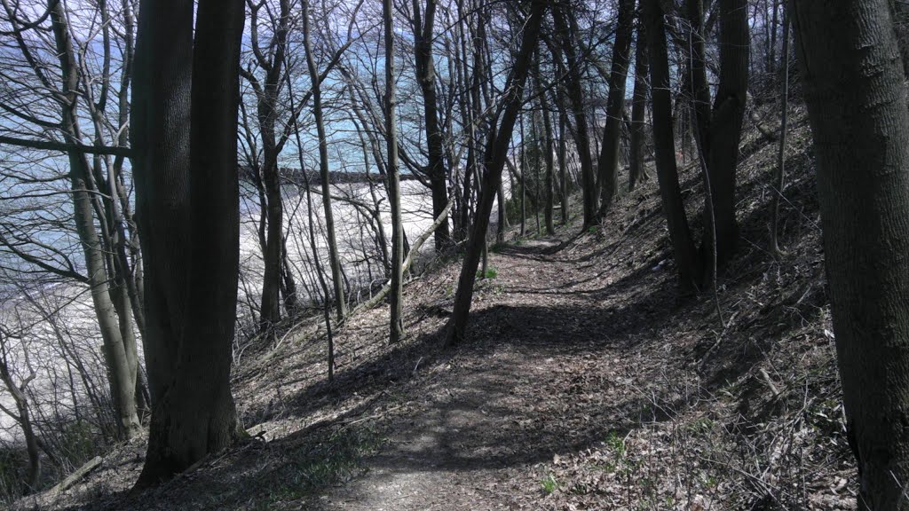 Millard Park - Hillside Trail